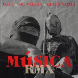 Musica (feat. Belén Natalí & Sr. Wilson) - Single