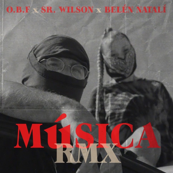 Musica (feat. Belén Natalí & Sr. Wilson) - Single