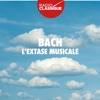 Patrick Zimmermann Concerto for Oboe d'amore in D Major (Transcription for Harpsichord in E Major, BWV 1053): I. [Allegro] Bach: L'extase Musicale