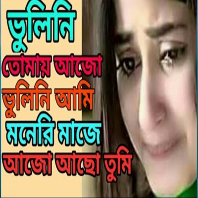 Shakib Hassan - ভুলিনি তোমায় আমি