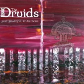 The Druids - St Patricks Batallion  - NEW