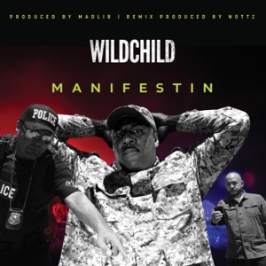 Manifestin - Single