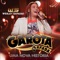 Fiel a Cerveja (Ao Vivo) - Wesley Safadão & Banda Garota Safada lyrics