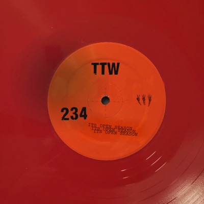 TTW (feat. Lolu) - Single