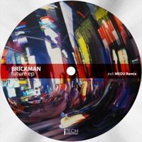 Future - Single - Brickman