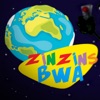 Zinzins Bwa - Single