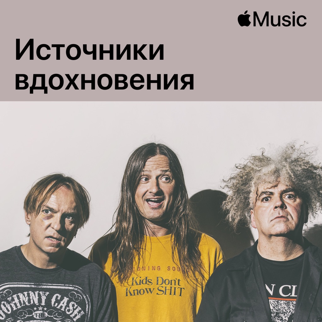 Melvins: источники вдохновения