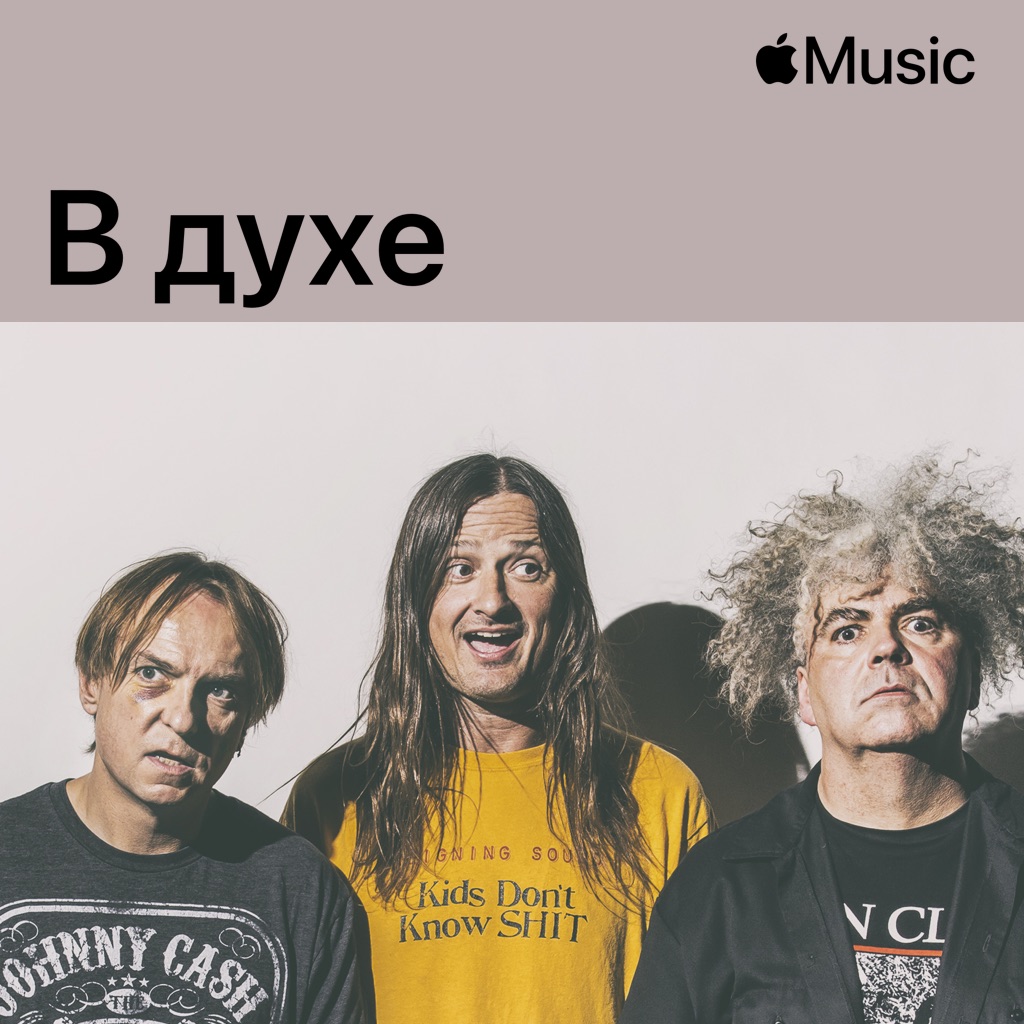 В духе Melvins