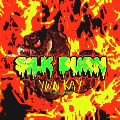 Silk Burn - Single