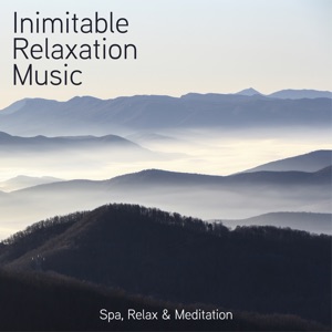 Inimitable Relaxation Music (Spa, Relax & Meditation)