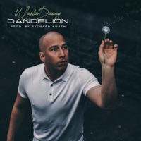 Dandelion - Single - Wayden Denway