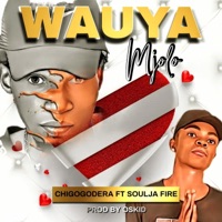 Wauya Mjolo (feat. Chigogodera & Soulja Fire) - Single - Oskid Productions