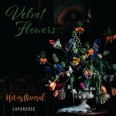 Velvet Flowers (feat. Lisa Imhoff) - Single