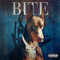 Bite (feat. Kap G) - Single - Dj Aladdinn & WJB