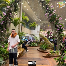 17 Hour Flight (feat. O.G Proce$$) JordanE420 & OGKUSHCLOUD