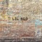 Lil Bro - Noel Grass lyrics