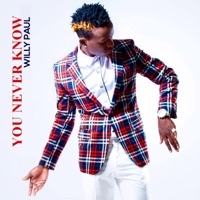 You Never Know - EP - Willy Paul