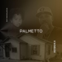 Palmetto - EP - Ray Knowledge