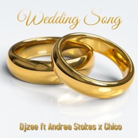 Wedding SONG (feat. Andrea Stoke & Chio) - Single - DJZEE