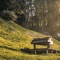 Relaxation With Piano artwork