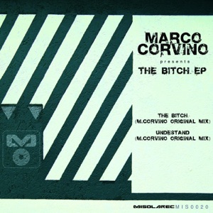 The Bitch - Single