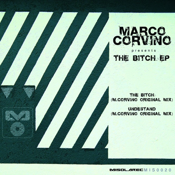 The Bitch - Single