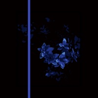 Midnight Groove - Single - tawnbei & Merlin Szy