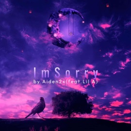 I'm Sorry IITSLILA & Aiden2x
