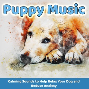 Puppy Music: Calming Songs to Help Relax Your Dog and Reduce Anxiety