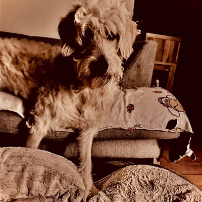 El Capitán - Single