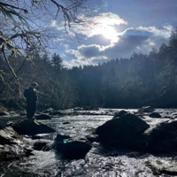 Stay True - Single - Sol Disciple