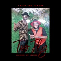 Too Fly - Single - INSPIRE