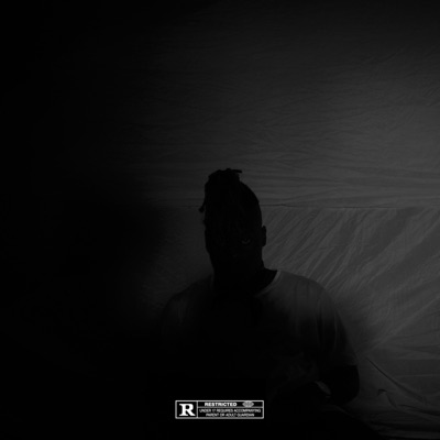 The WOLF Cries AT NIGHT - Single
