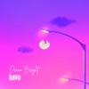 Dream Bright - Single