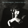 The Waterboys - The Pan Within (2004 Remaster) artwork