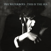 The Waterboys - Spirit