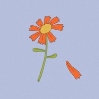 Sunday - Single - Fools View