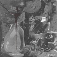 Timelapse - Single - Immune & Ortiz