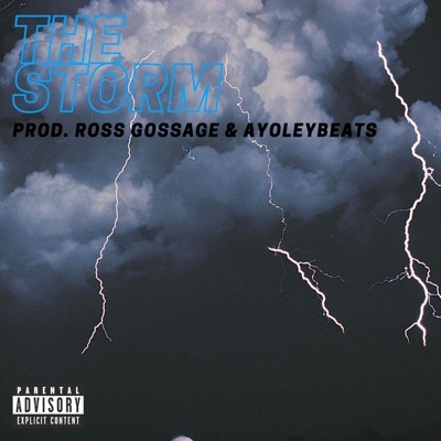 The Storm - Single