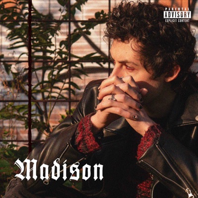 Madison - Vince