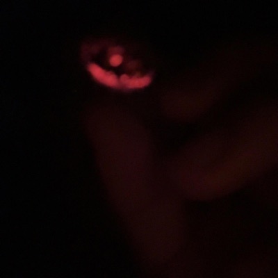 High Risk High Reward - Single