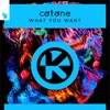 What You Want - Single, 2022