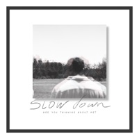 Slow Down / Are You Thinking About Me? - Single - Nevan