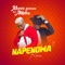 Napendwa (feat. Alikiba) [Remix] - Mocco Genius lyrics