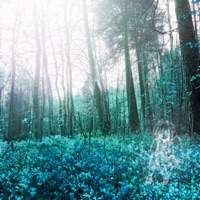 Цунами - Single - hussein2k & Seruka