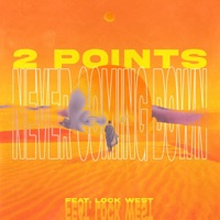 Never Coming Down (feat. The LockWest) - Single - 2 Points