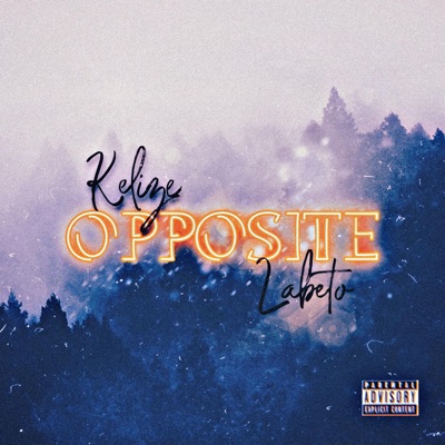 Opposite (feat. Labeto) - Single