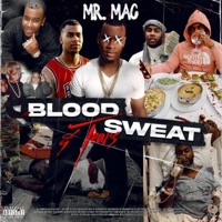 Blood Sweat Tears (Radio Edit) - Mr. Mac