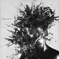 Sounds Like Violence - Single - Waynewood