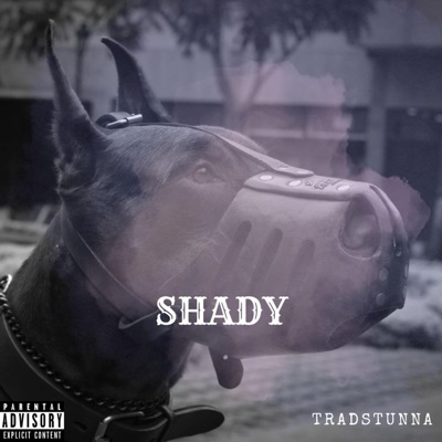 SHADY - Single